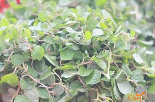 Canh rau dền nấu ngao hoa