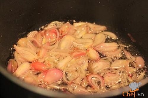 xoi-ga-pate